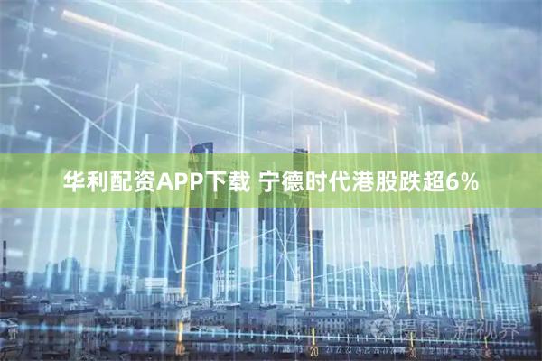 华利配资APP下载 宁德时代港股跌超6%