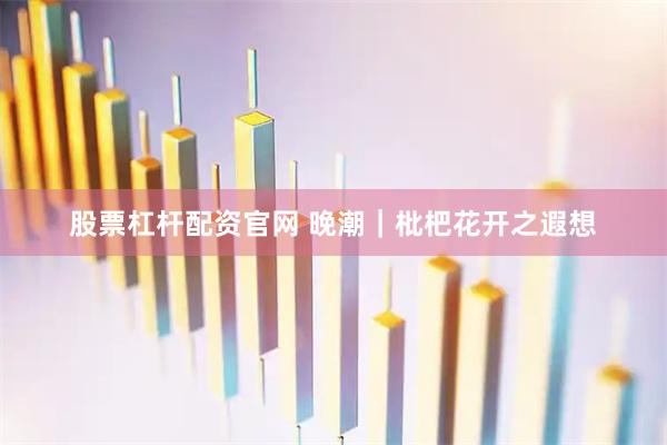股票杠杆配资官网 晚潮｜枇杷花开之遐想